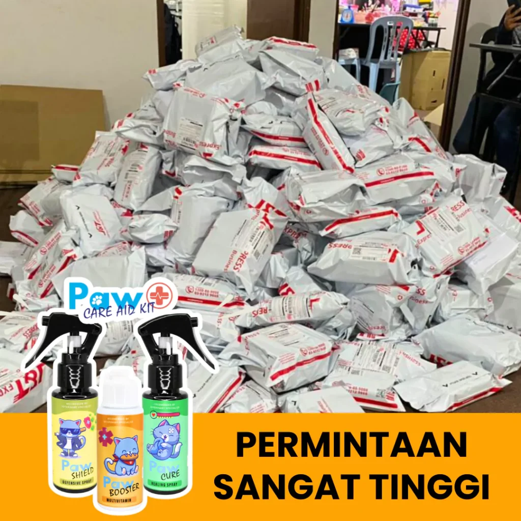 51-654870c96e3b5.webp